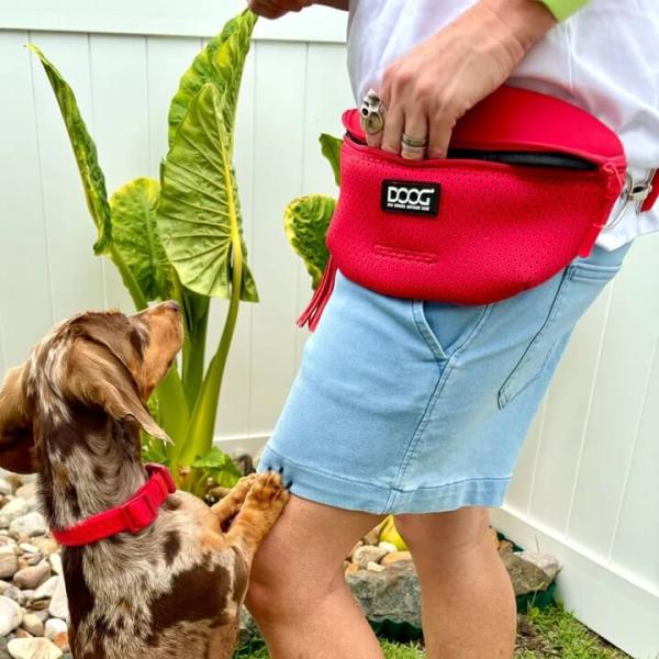 DOOG - Neosport Neoprene Dog Collar Red - Gr. L DOOG - Neosport Neoprene Dog Collar Red - Gr. L